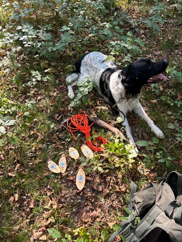 2024.08.24 0001 Schweisspruefung